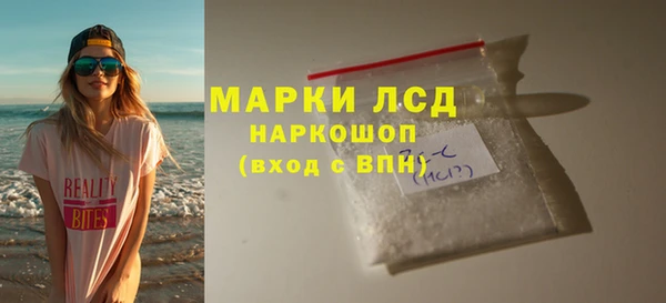 PSILOCYBIN Михайлов