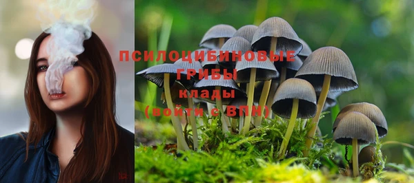 скорость Мегион