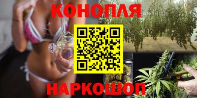 меф Гатчина