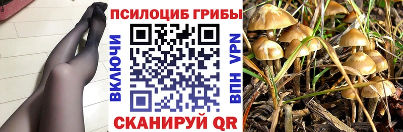 где продают   hydra ссылка  сайты даркнета официальный сайт  Калуга  Псилоцибиновые грибы GOLDEN TEACHER 