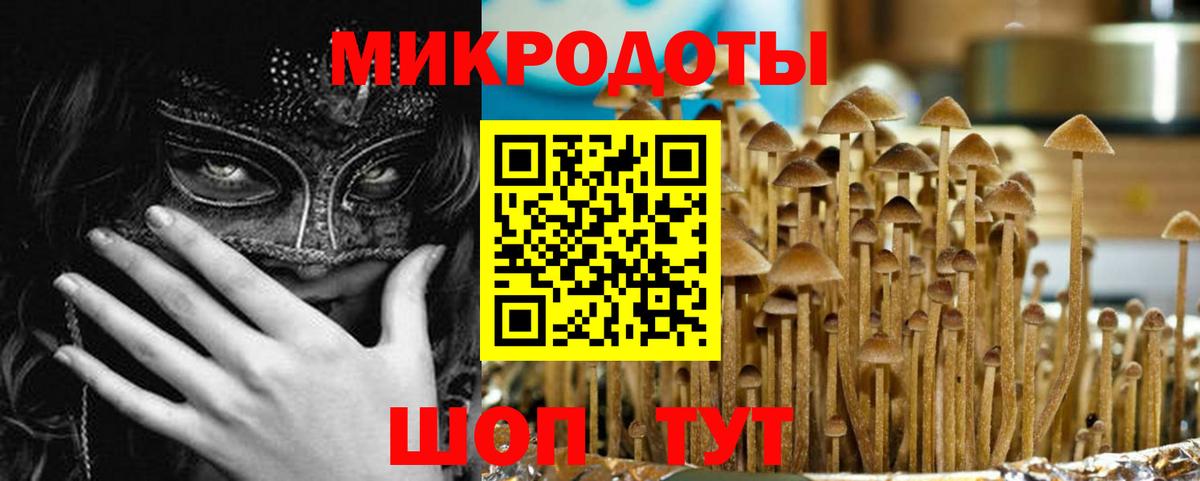 Псилоцибиновые грибы Magic Shrooms Калуга