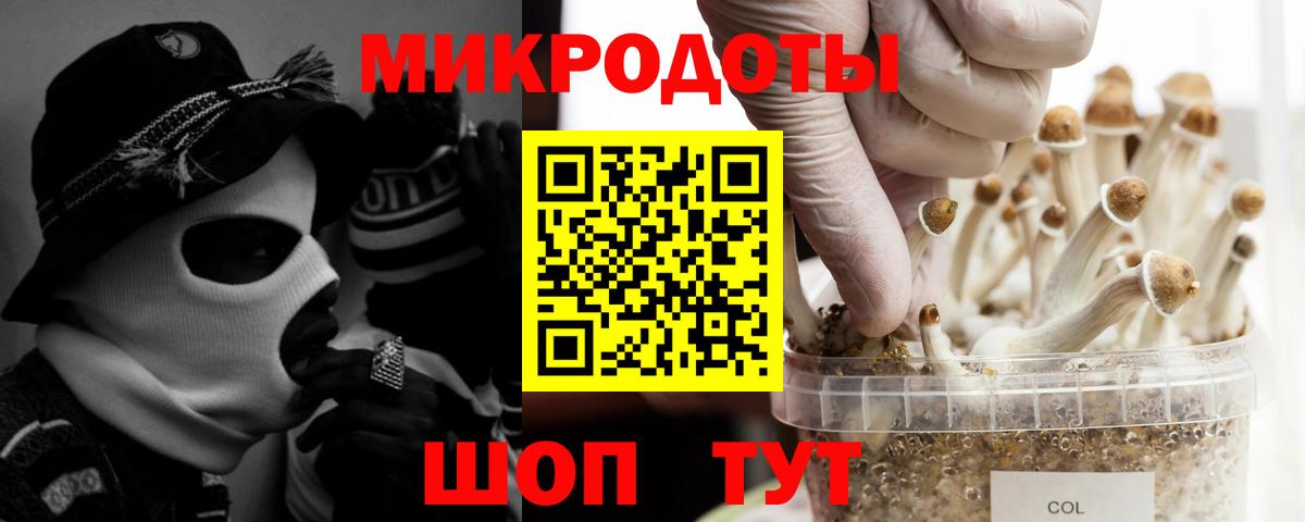 Галлюциногенные грибы MAGIC MUSHROOMS  Псилоцибиновые грибы Cubensis  наркотики  Калуга 